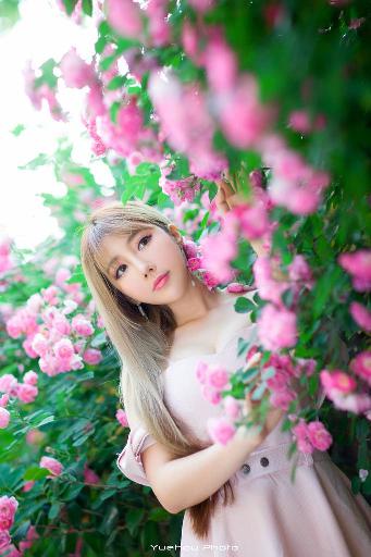 惊爆！乐可小说金银花露背后隐藏着什么秘密？数字真相大揭秘！